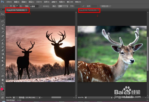 使用ps合并图片的步骤 拼图方法
