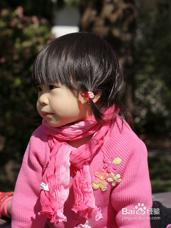 菲比带你看加国--空中列车&樱花（图）