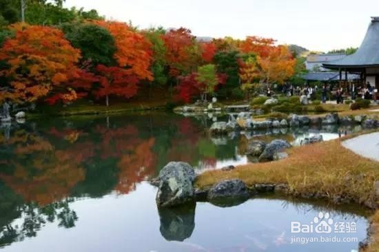 新西兰自由行全攻略