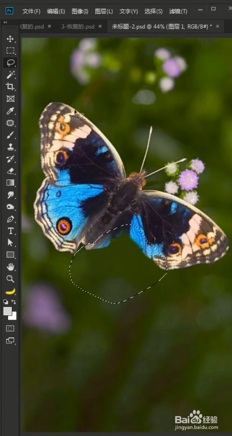 如何用ps镜像填充