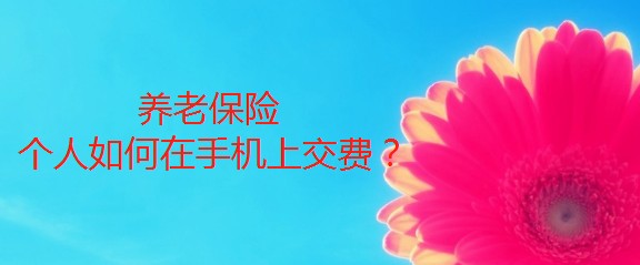 养老保险怎么交 个人在手机上