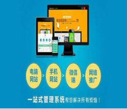 如何高效更好运营商城?