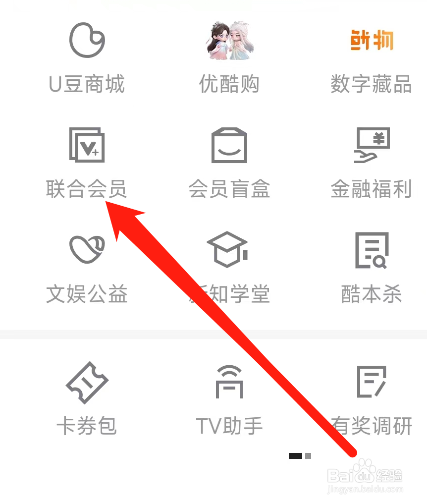 优酷视频查看联合会员