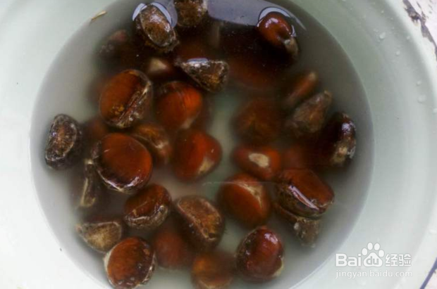 怎么煮栗子好吃