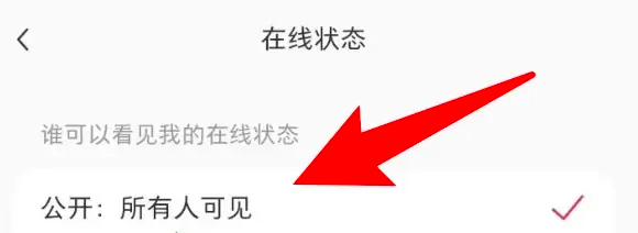 如何使用小红书APP设置在线状态所有人可见