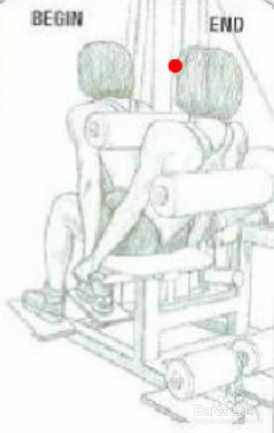 增肌速成：[6]如何锻炼背部肌肉