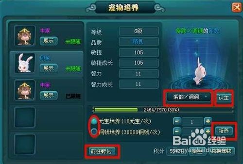 【双龙诀】《双龙决》宠物系统抢先预览