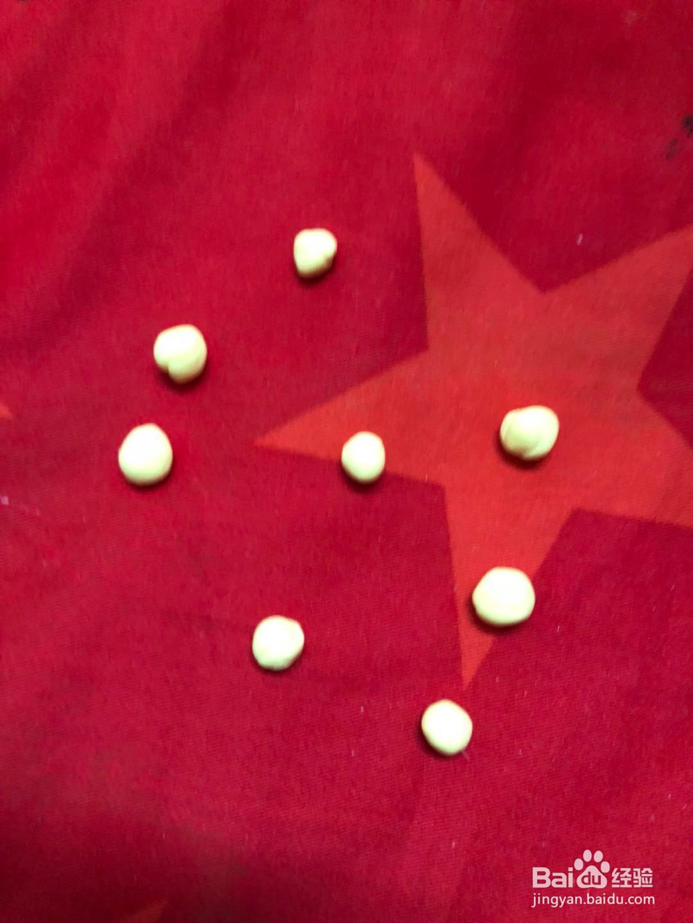 制作美丽的章鱼小姐