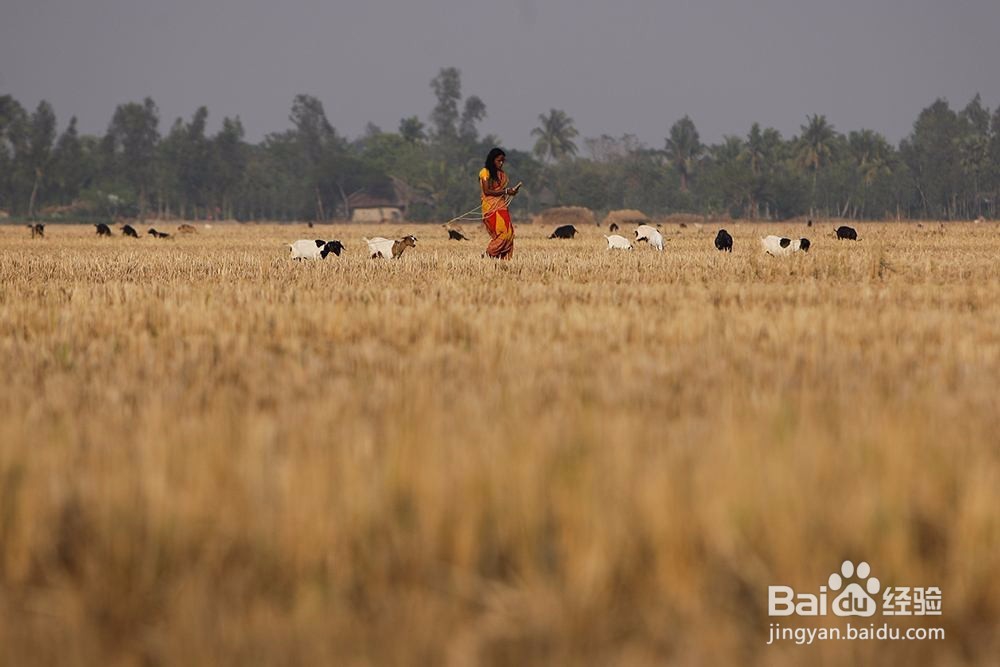 5个问答快速学习葡萄酒知识
