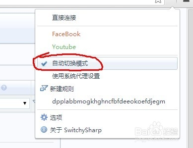 Proxy Switchy 使用说明