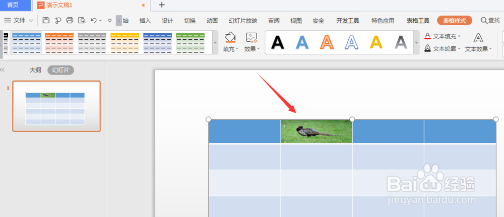 WPS幻灯片中如何给表格填充图片