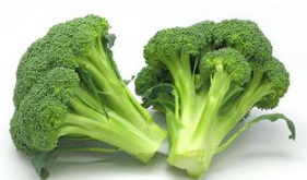 老年人抗衰老应多吃的七种食物