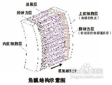 散光应该做哪些检查