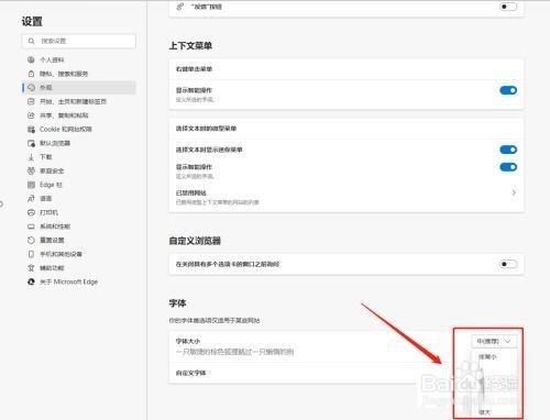 Microsoft Edge浏览器如何更改字体大小