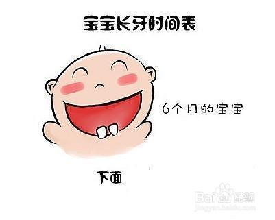 新手父母必看：宝宝长牙的时间及顺序