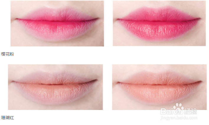 教你如何挑选适合自己的口红颜色
