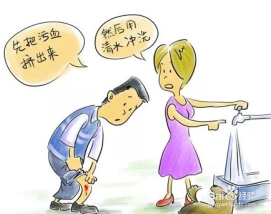 关于狂犬病你必须知道的事