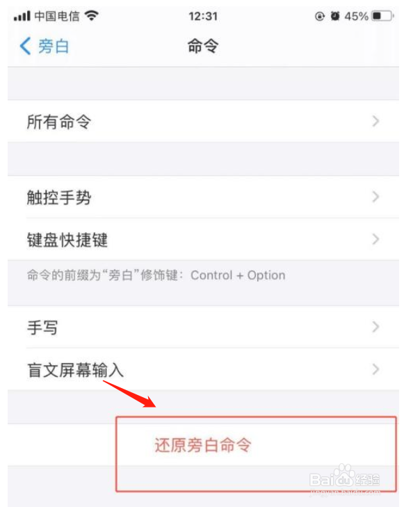 苹果手机如何还原旁白命令