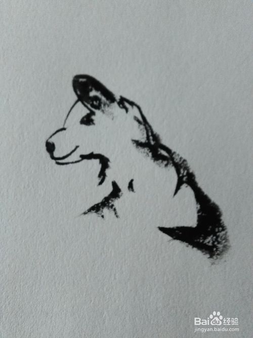 国画猫的水墨画法 百度经验 国画猫的水墨画法 百度经验