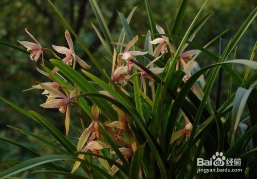 母亲节送妈妈什么礼物好、母亲节怎么过