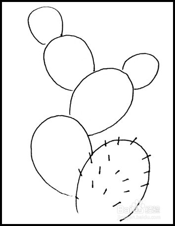 怎样画简笔画（花卉）：[6]仙人掌