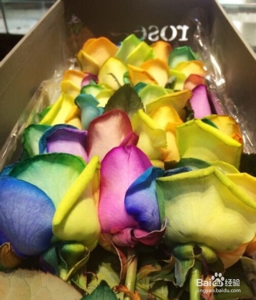 女朋友过生日送什么好