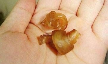 自制狗咬胶的详细教程