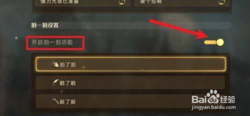 哈利波特魔法觉醒如何开启拍一拍功能