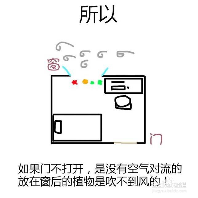 炎炎夏日，如何让你的多肉植物安然度夏!