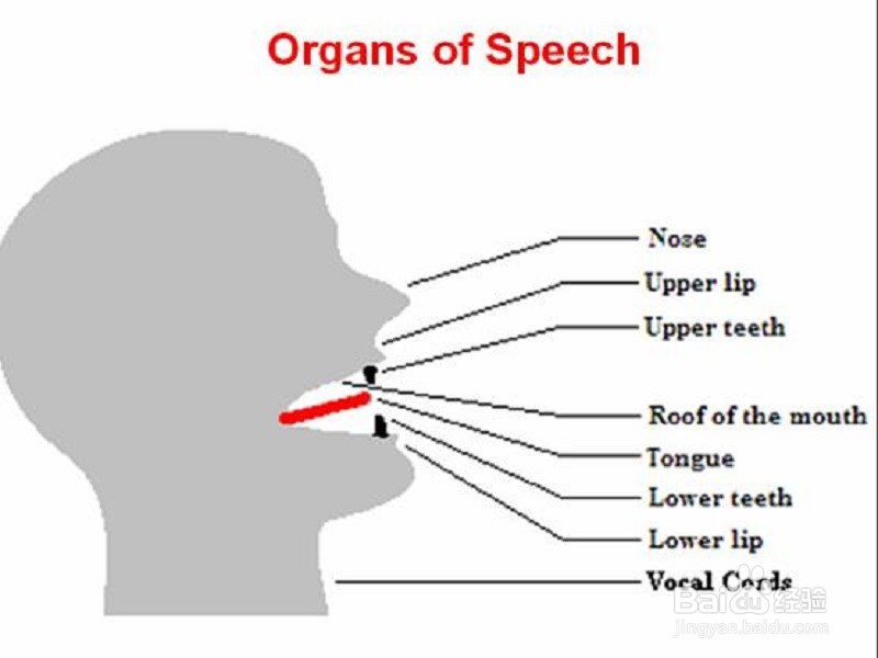 如何学好英语？