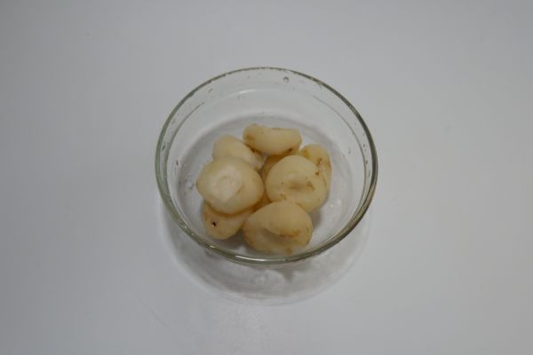冰糖枸杞蒸荸荠