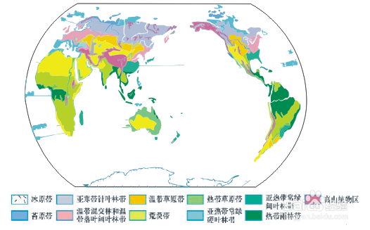 世界气候分布的简笔画