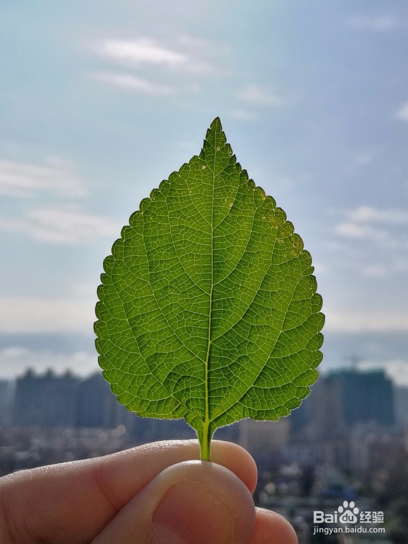 如何提高办公室三服务能力