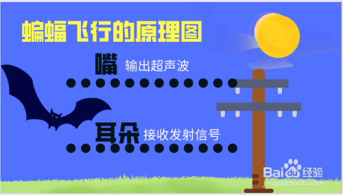 蝙蝠飞行的原理图怎么画