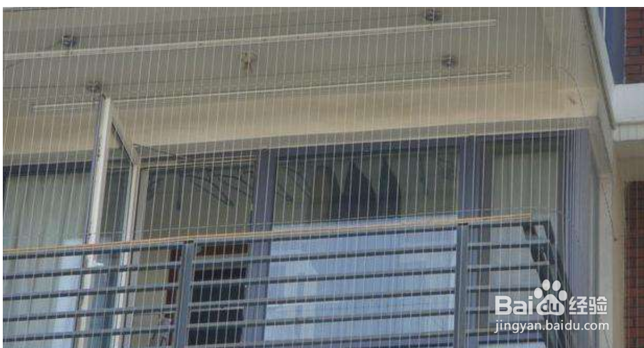 香肠挂阳台怎么防鸟吃