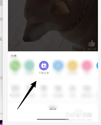 哔哩哔哩怎么下载视频