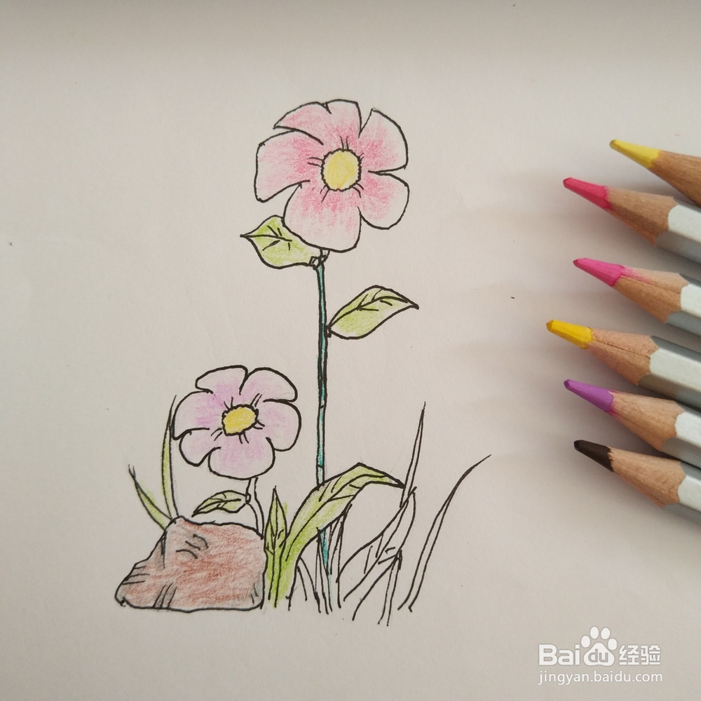 简笔画36:花朵画法