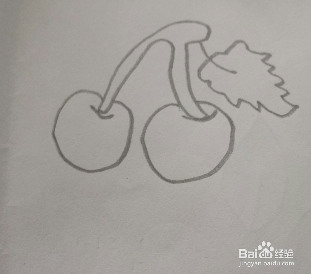 简笔画樱桃的画法13