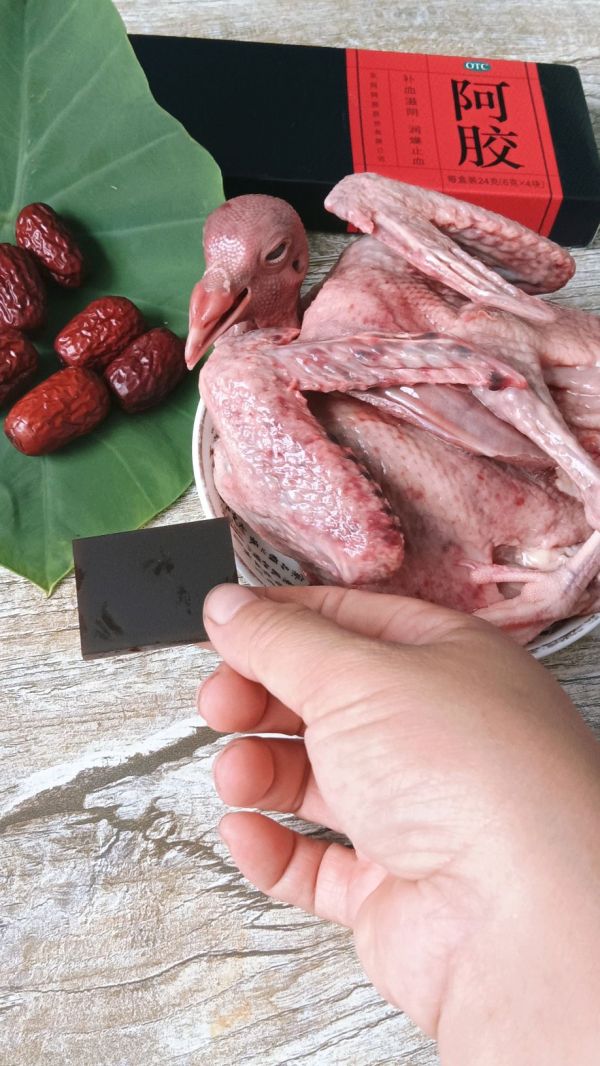 阿胶药膳炖鸽子