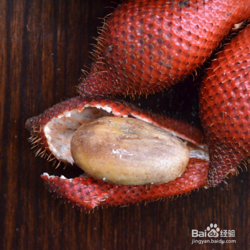 蛇皮果怎么种植好？