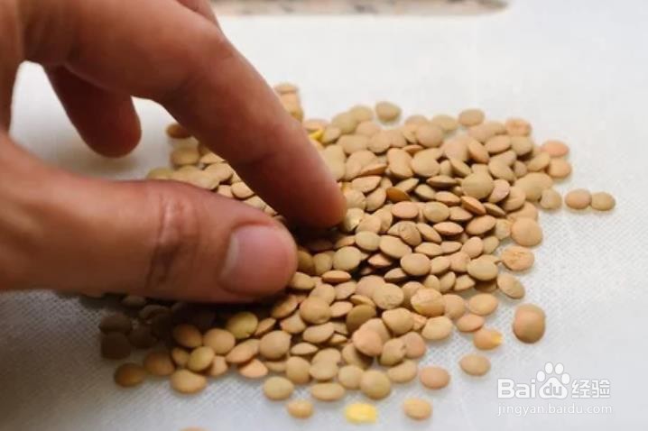 如何煮西式扁豆汤