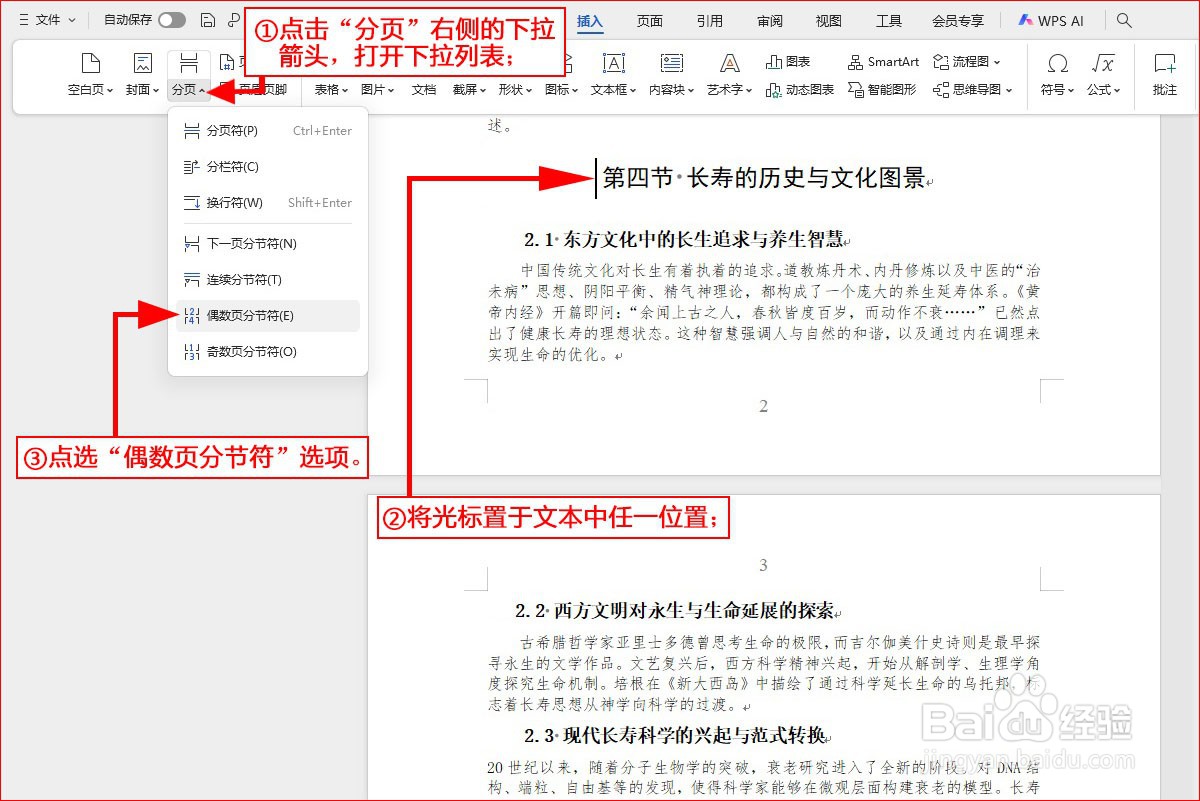 WPS文字如何插入偶数页分节符