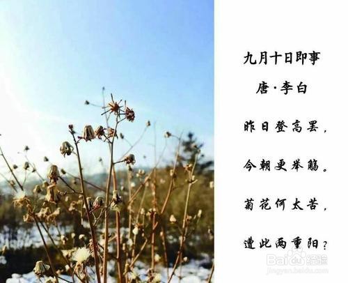 重阳节古诗，怎么配画