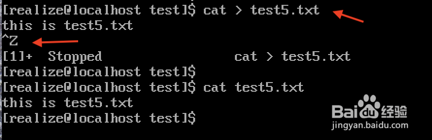 linux cat怎么退出