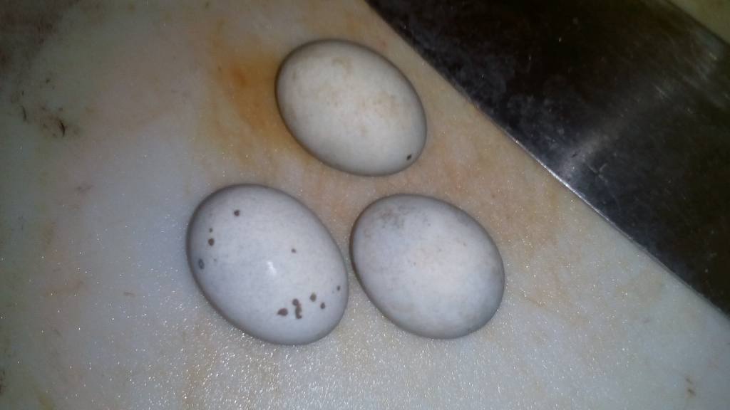 超级美味的姜汁松花蛋，今天就来教你做