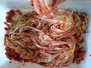 河南特色-辣白菜的正宗做法