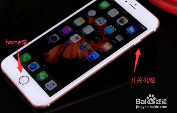 iphone7plus死机了怎么办