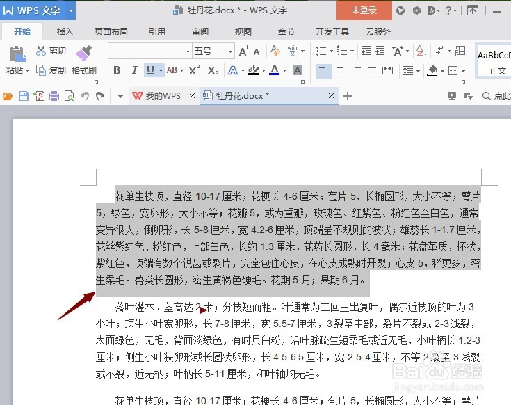 word文档下划线不显示