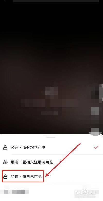 抖音作品设置仅自己可见