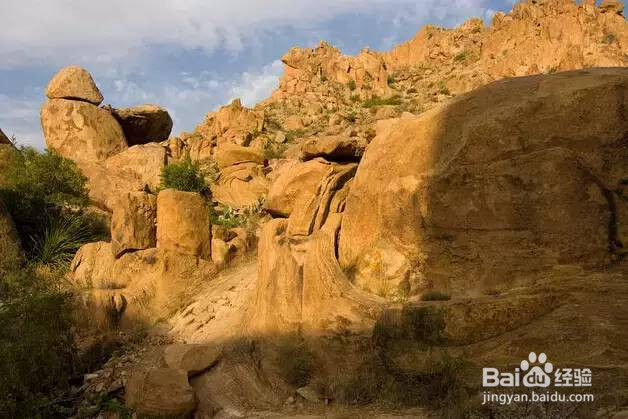 美国租车去哪玩?美国租车最强景点攻略!